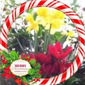 Meet your Posher, Margaret